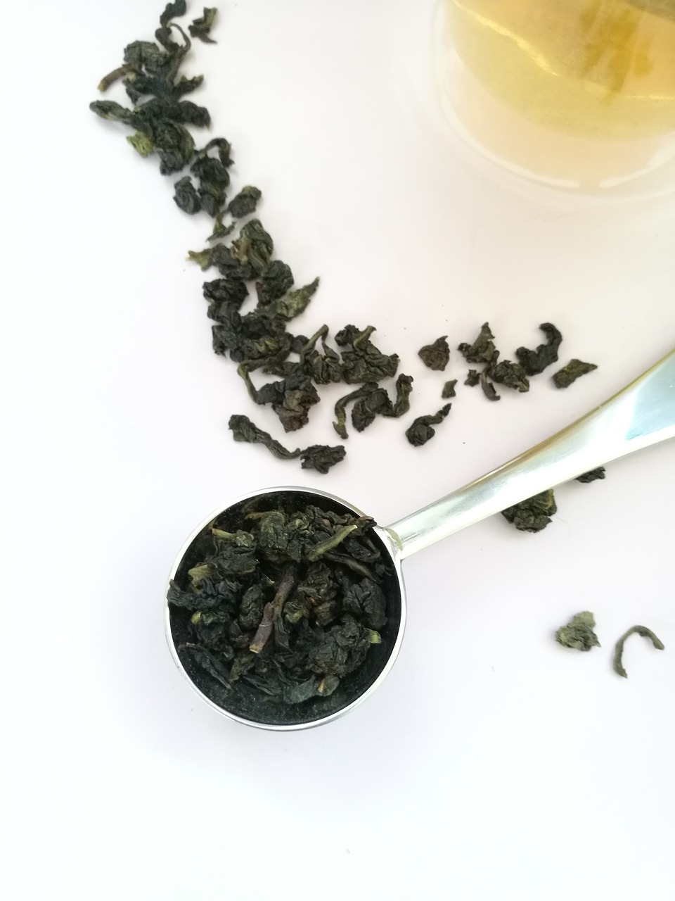 tea  oolong  glass free photo