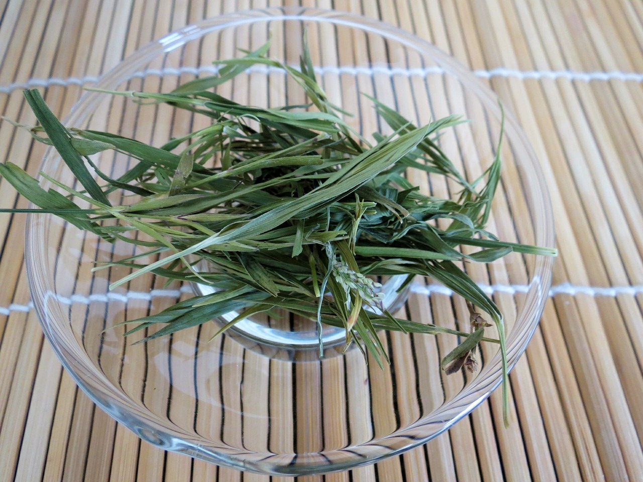 tea green bamboo free photo