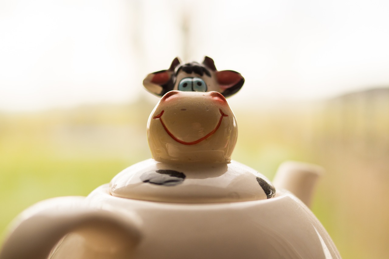 tea pot cow free photo