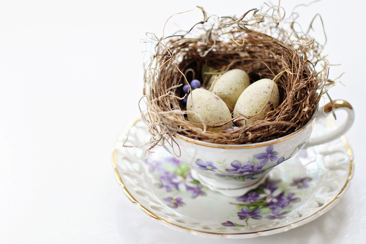 tea cup vintage tea cup bird's nest free photo