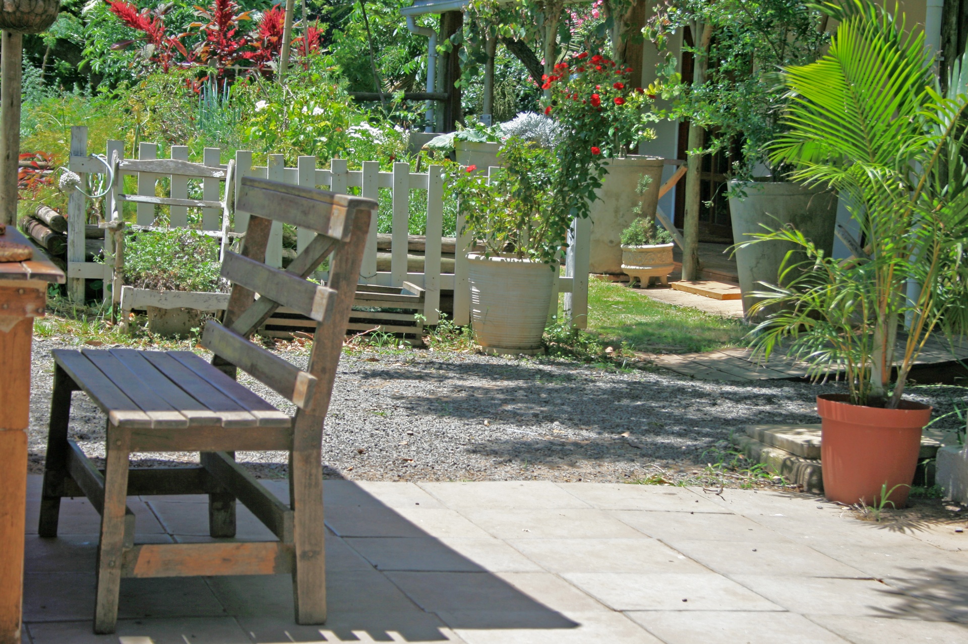 garden venue benches free photo