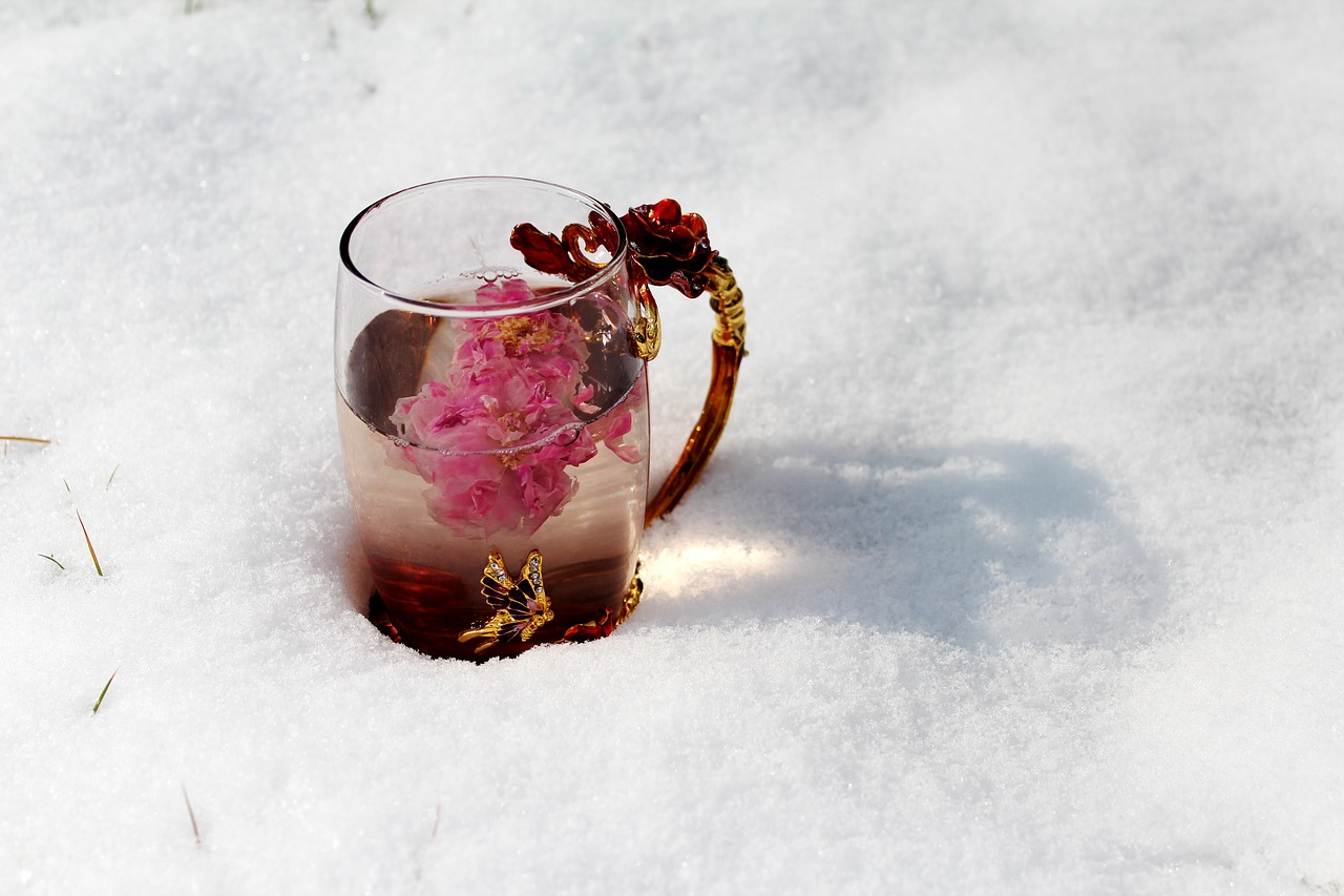 tea rose corolla enamel cup heavy snow free photo