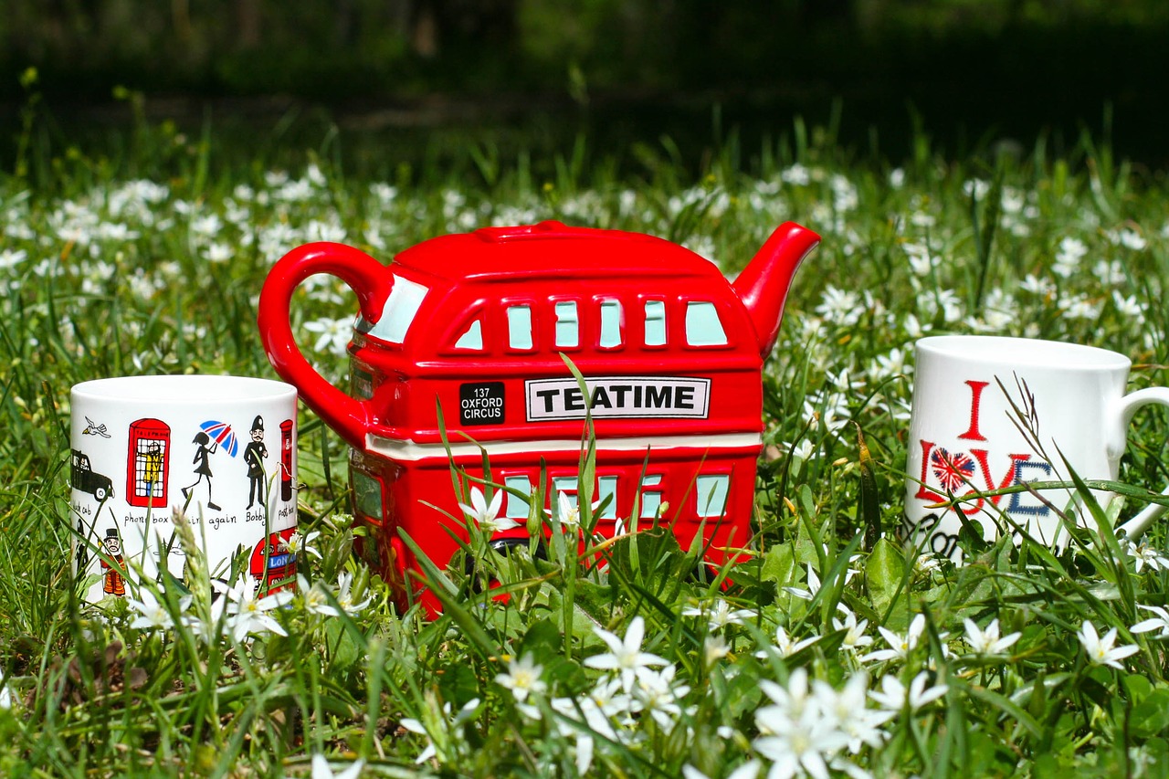 tea time outdoor cup free photo