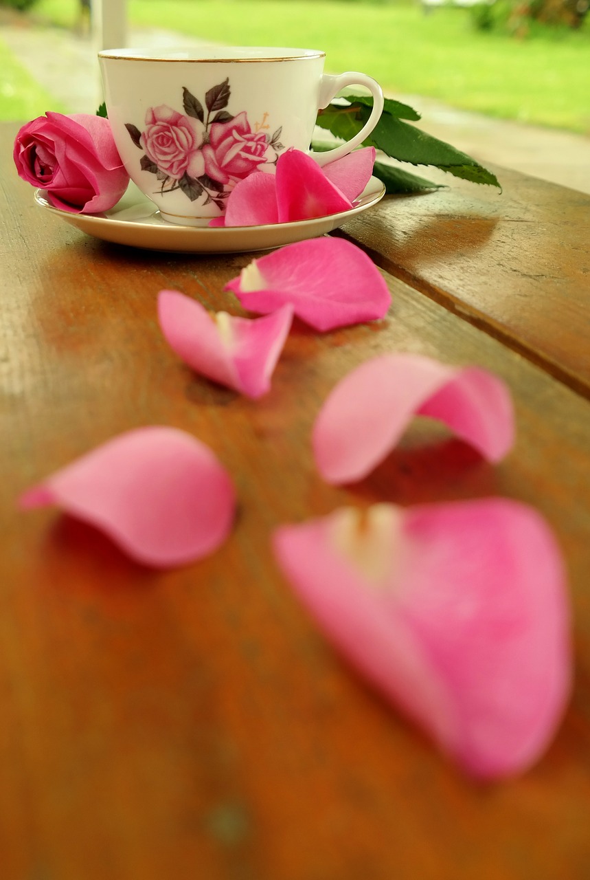 teacup rose blossom free photo