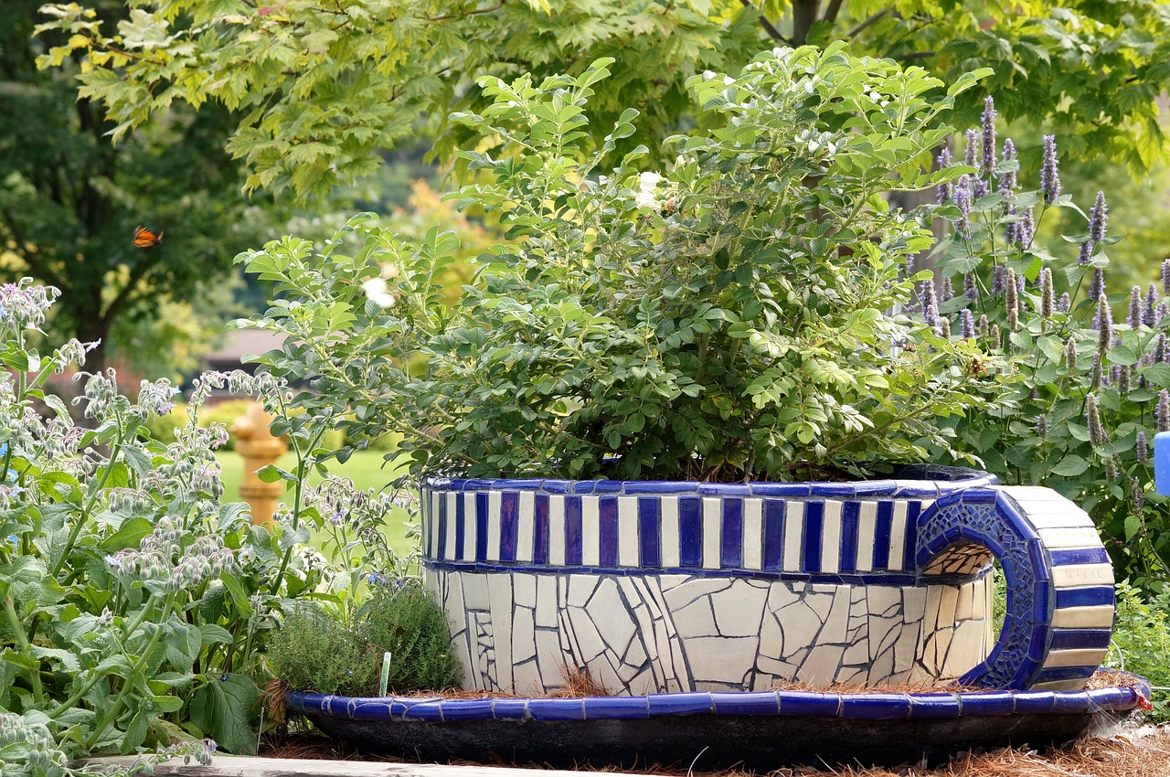 teacup garden planter free photo