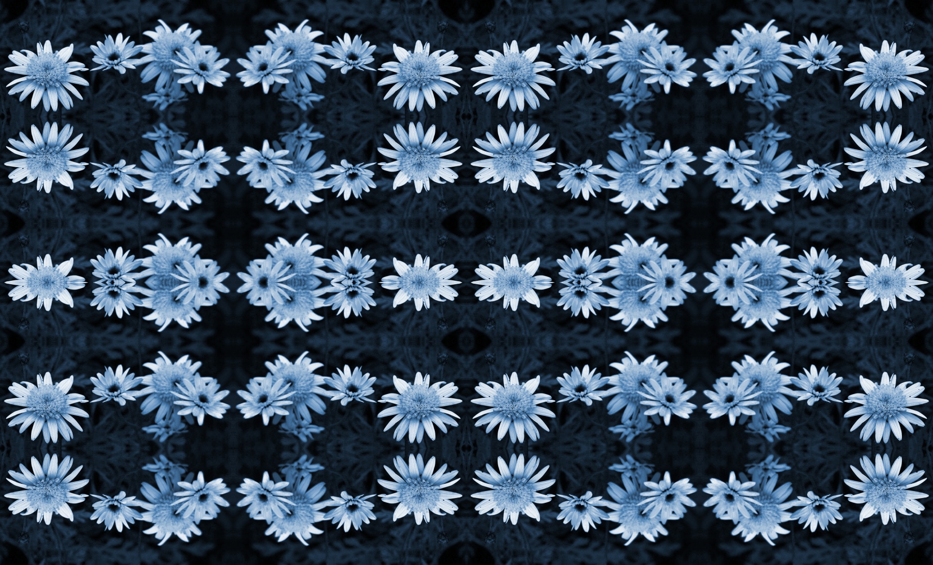 pattern flowers blue free photo