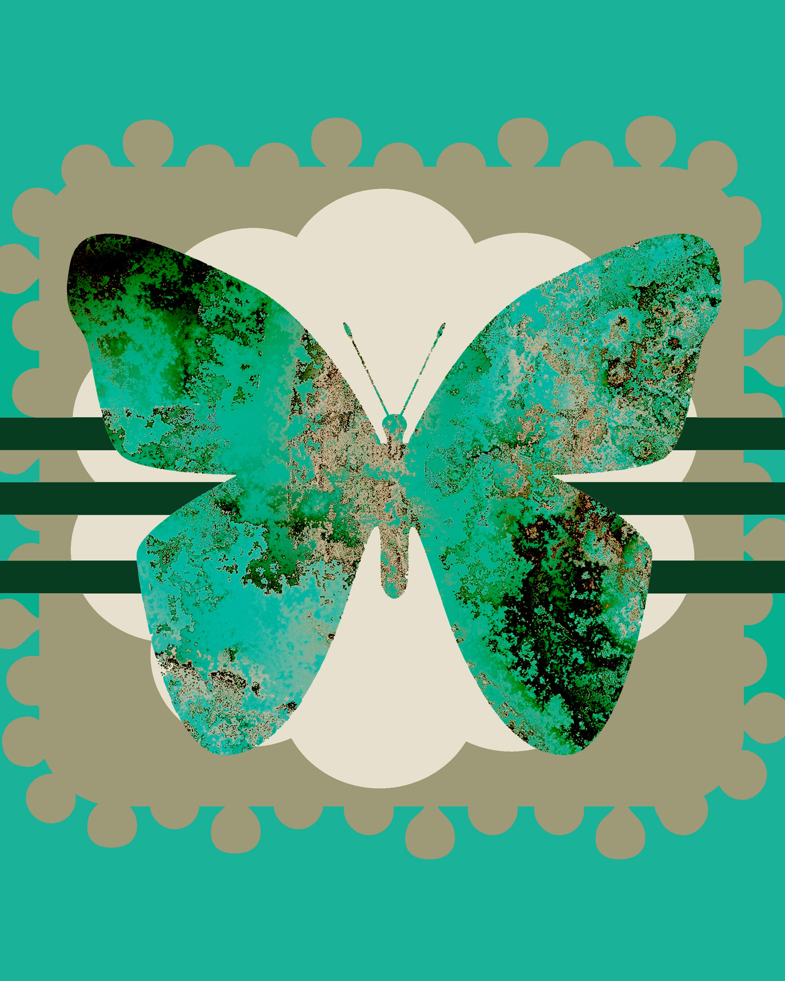 green teal butterfly free photo