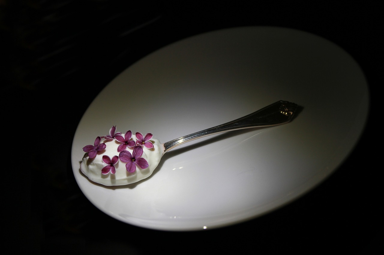 teaspoon white plate free photo