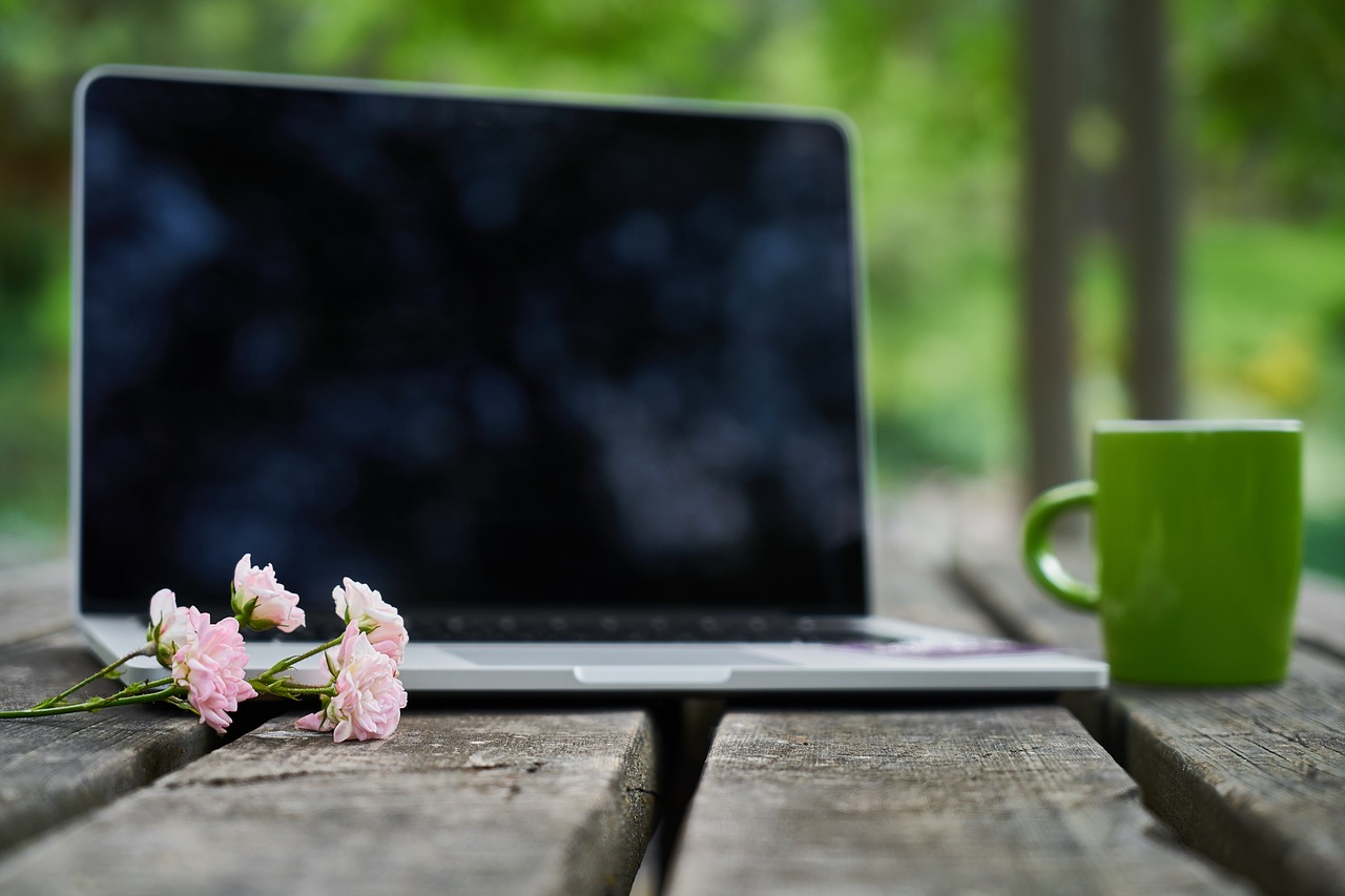 technology  laptop  computer free photo