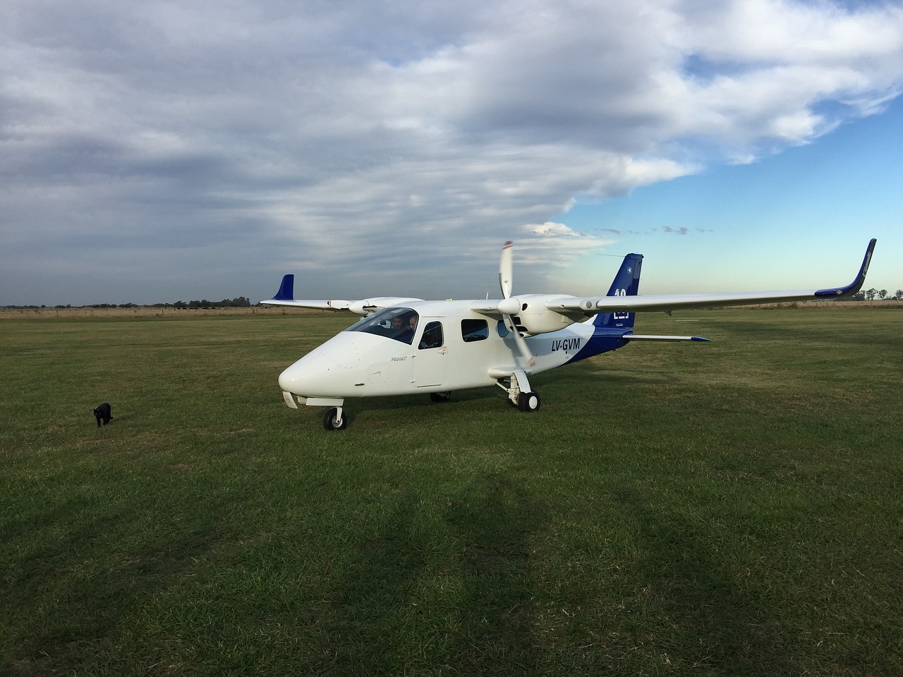 tecnam twin engine free photo