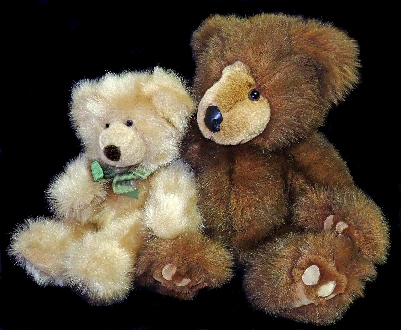 teddies  bears  fluffy free photo