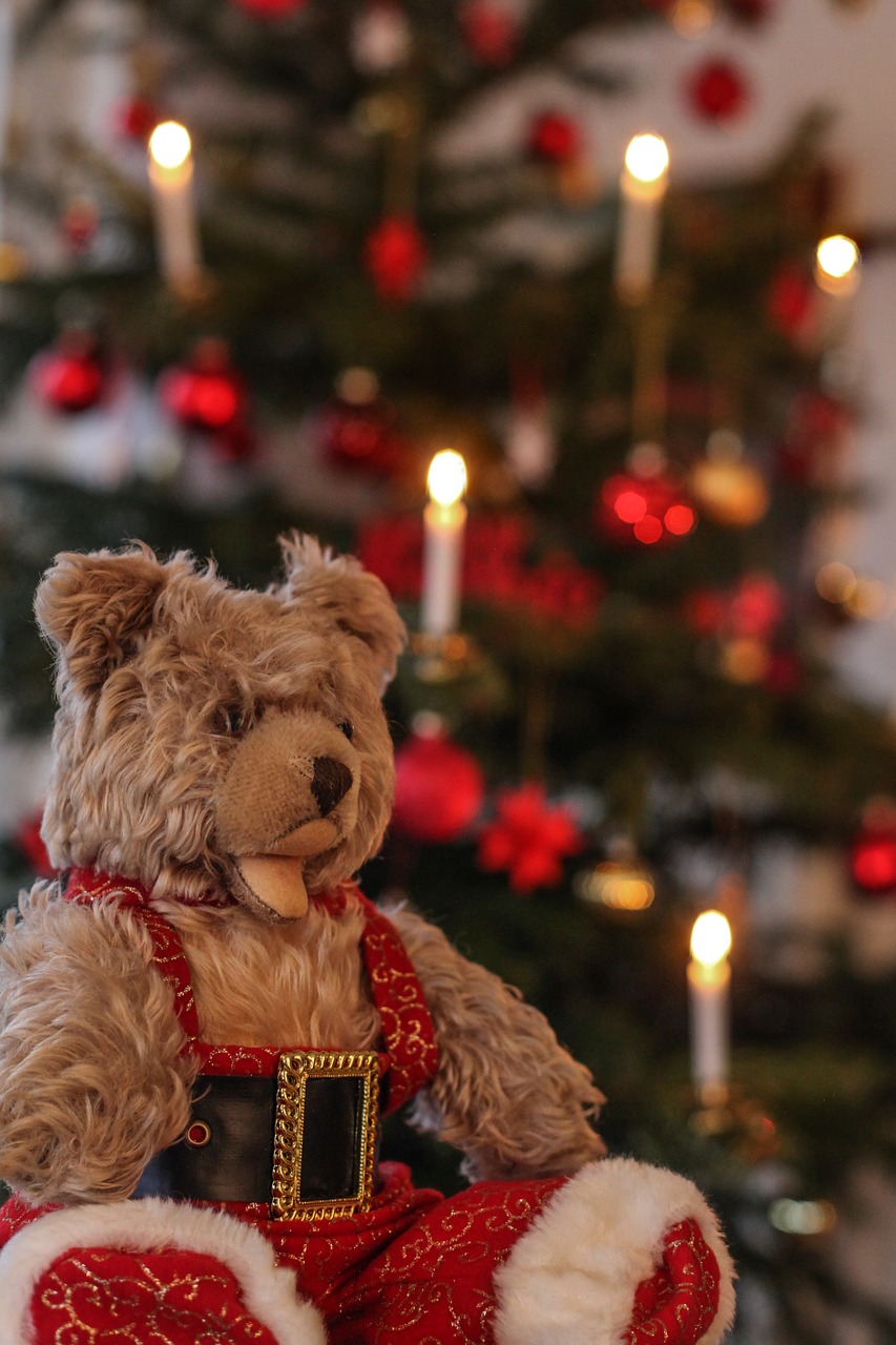 teddy christmas candles free photo