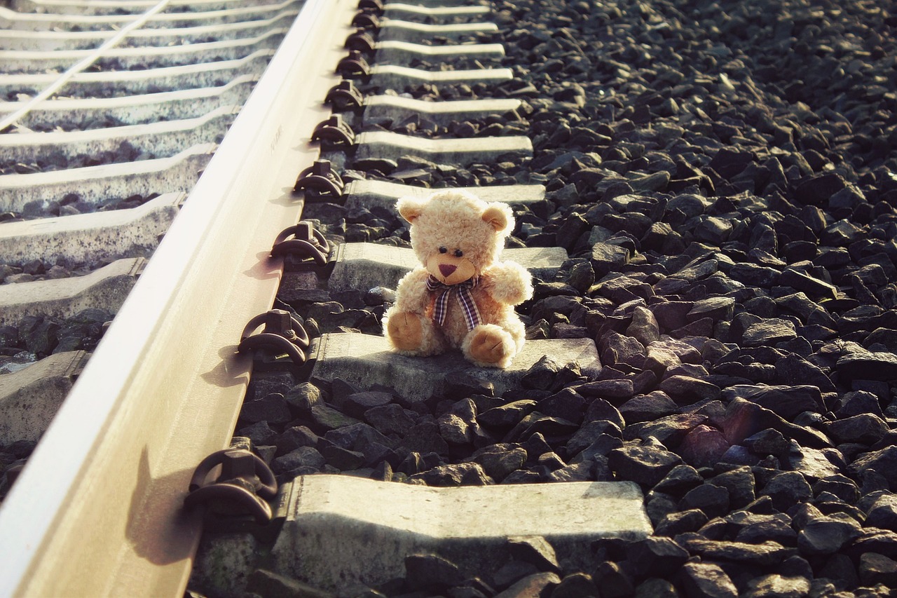 teddy rail teddy bear free photo