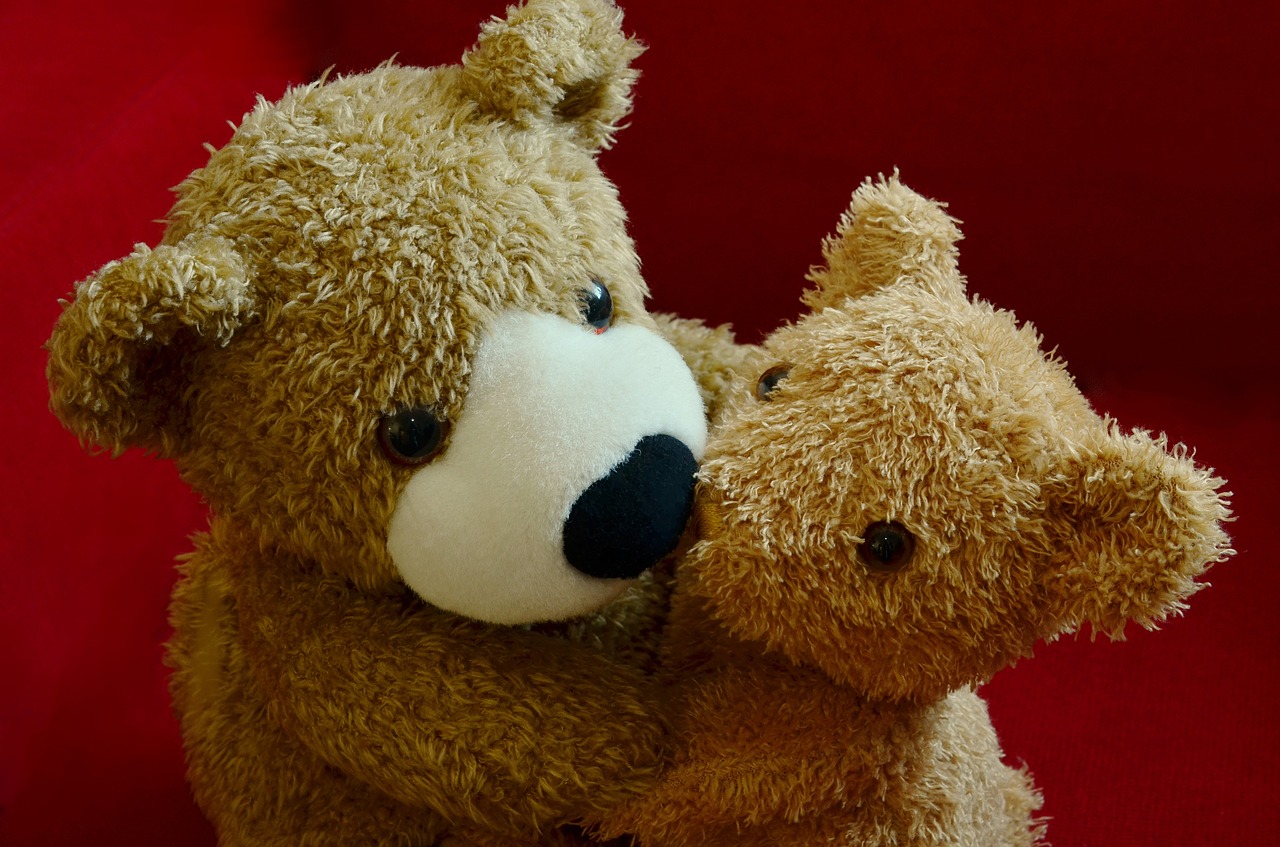 teddy teddy bear snuggle free photo