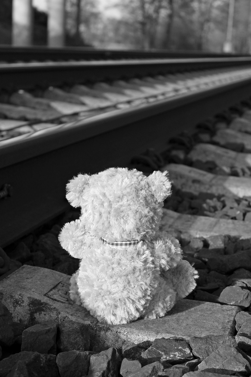 teddy teddy bear bear free photo