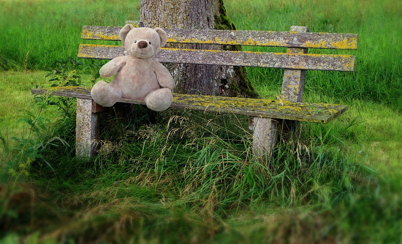 Download free photo of Teddy,bear,teddy bear,park bench,lonely - from ...