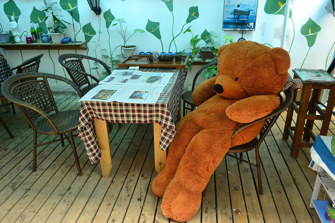 teddy bar lonely free photo