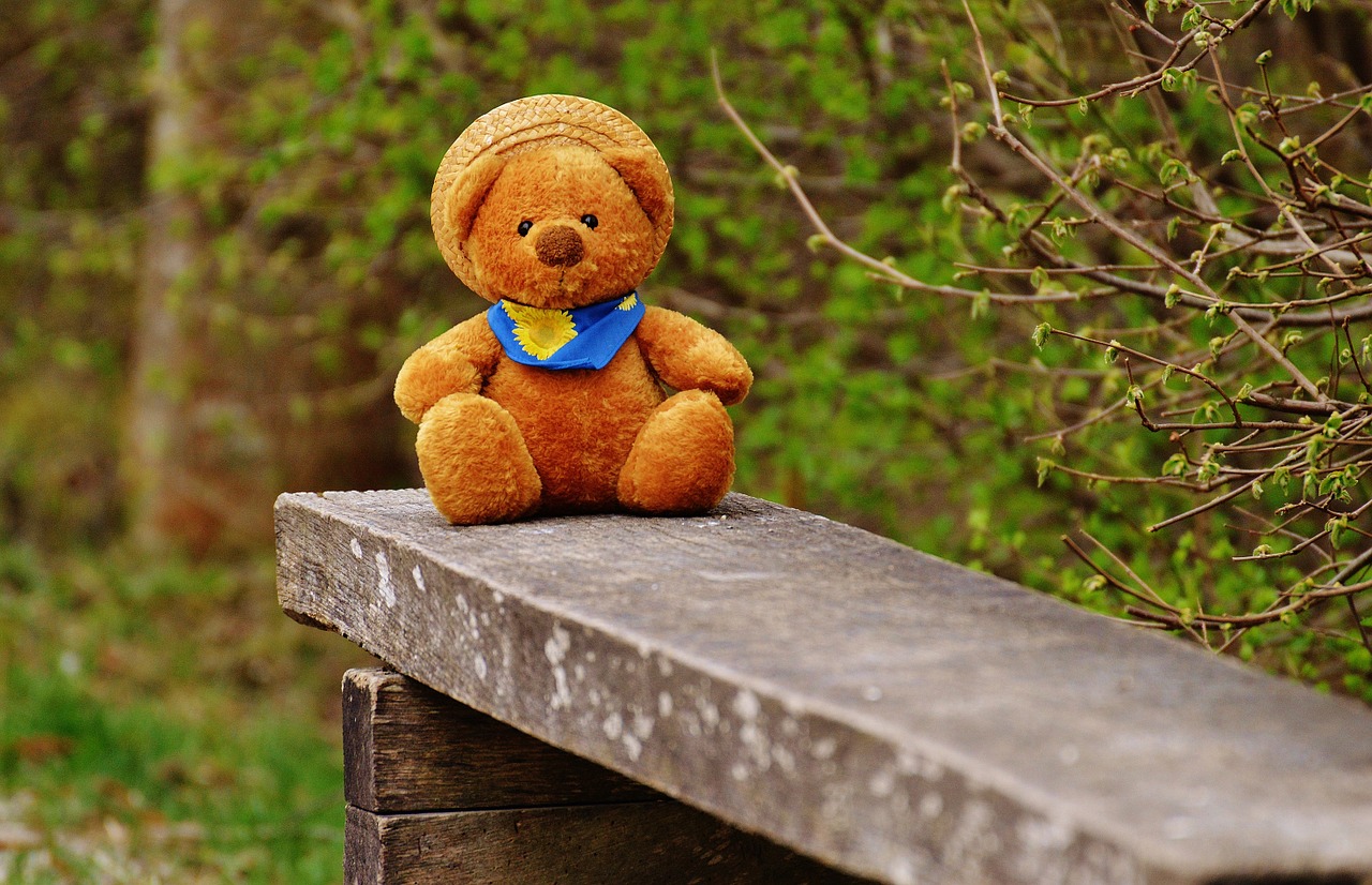 teddy bear bank free photo