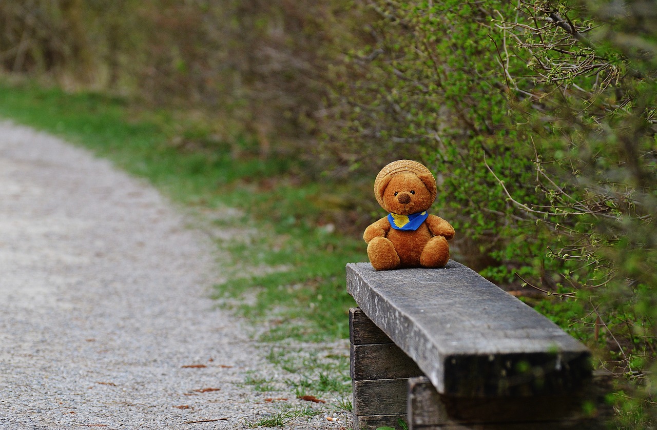 teddy bear bank free photo