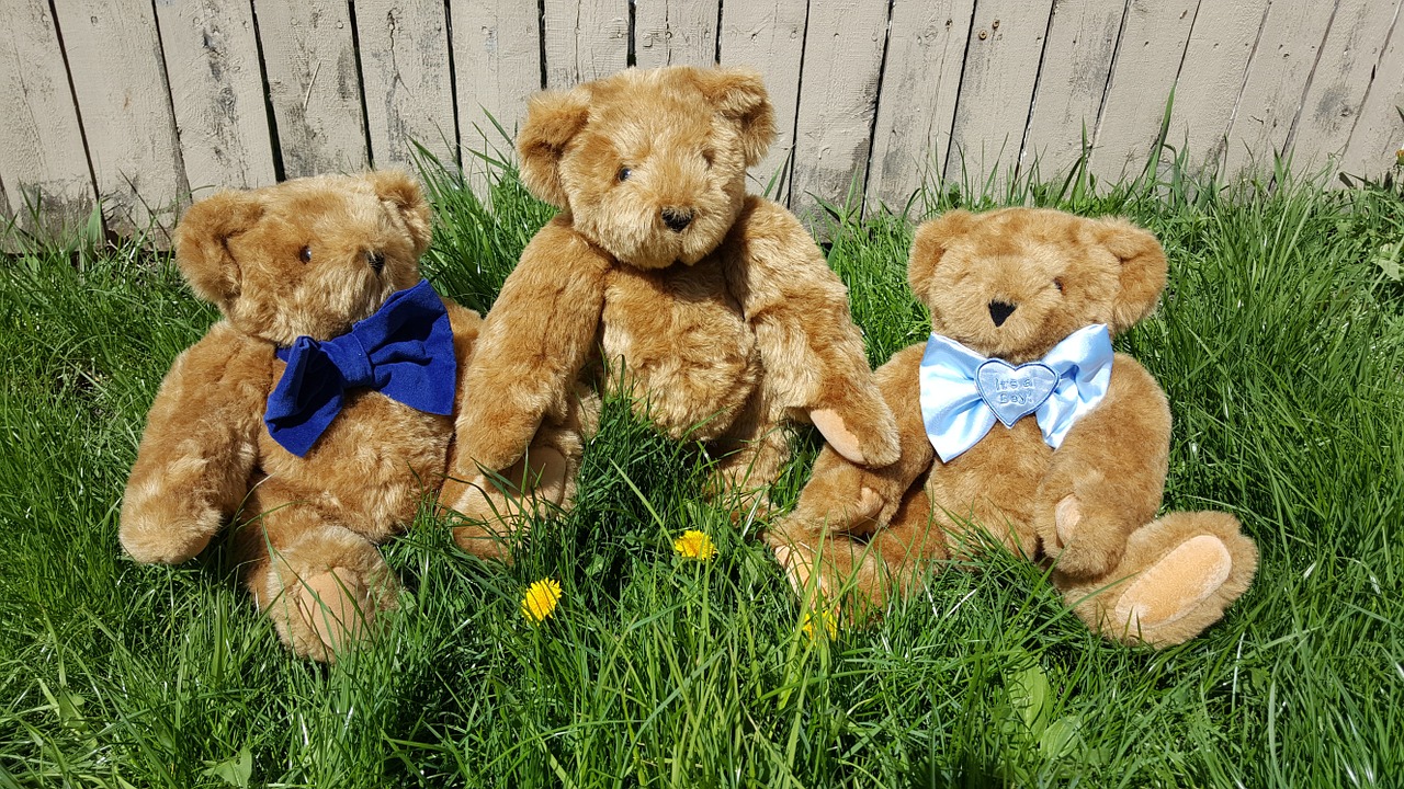 teddy bear grass free photo