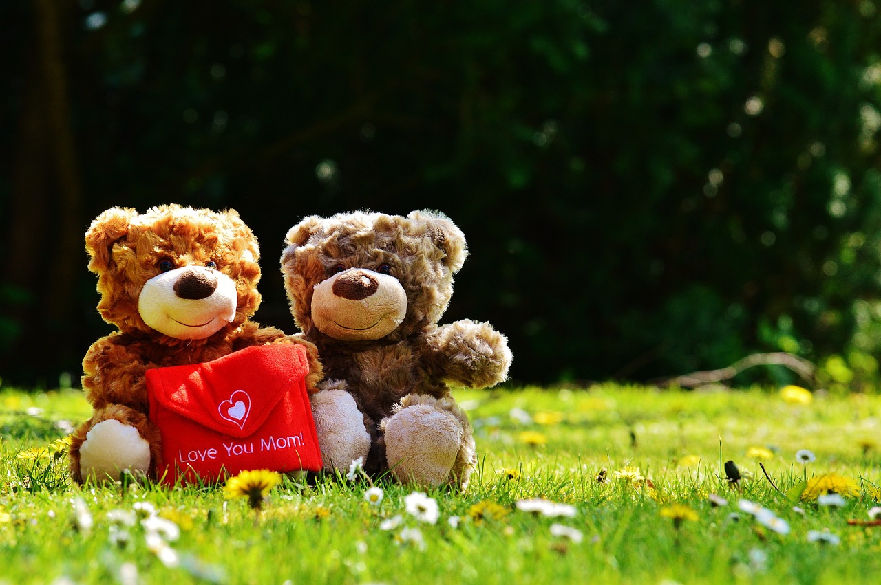 teddy mother's day love free photo