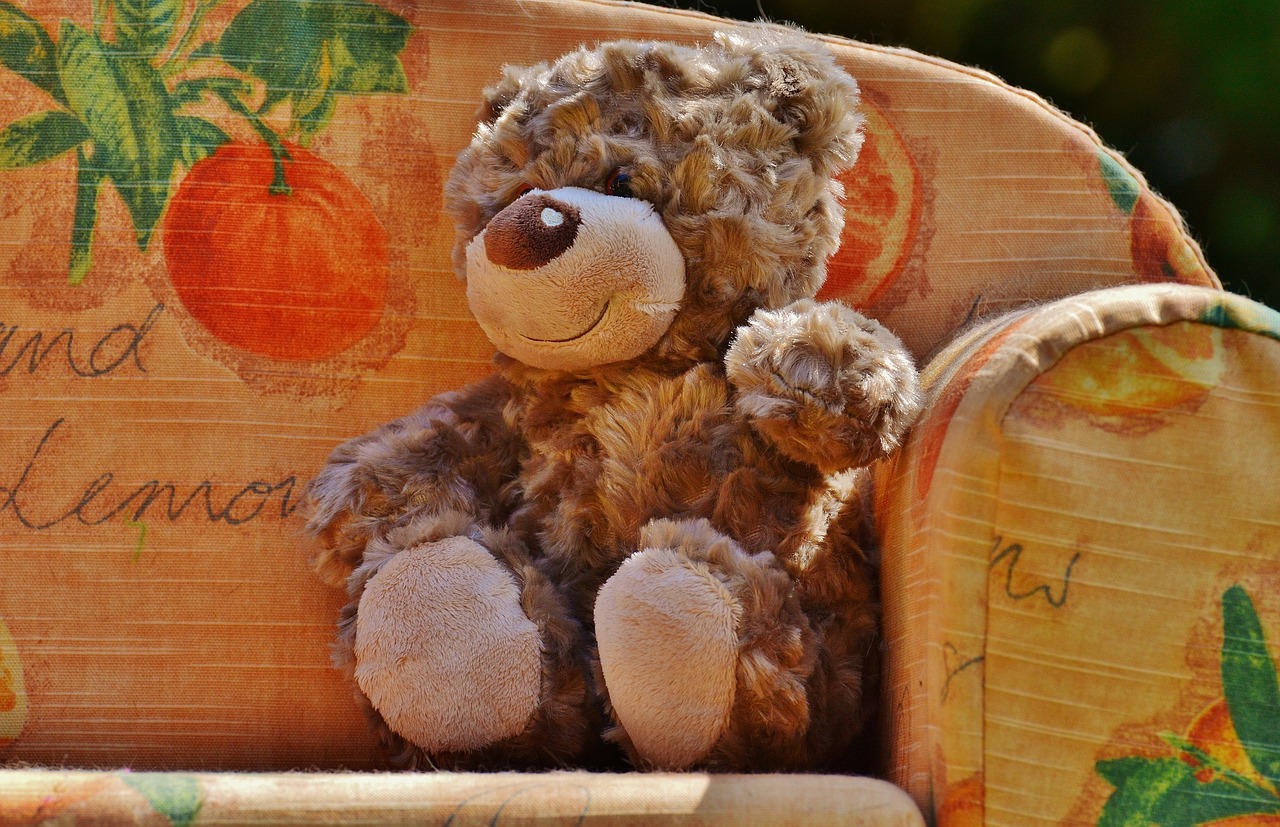 teddy soft toy stuffed animal free photo