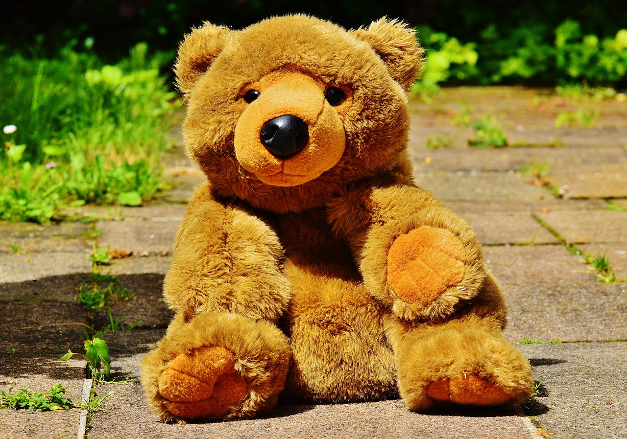 teddy bear bears free photo