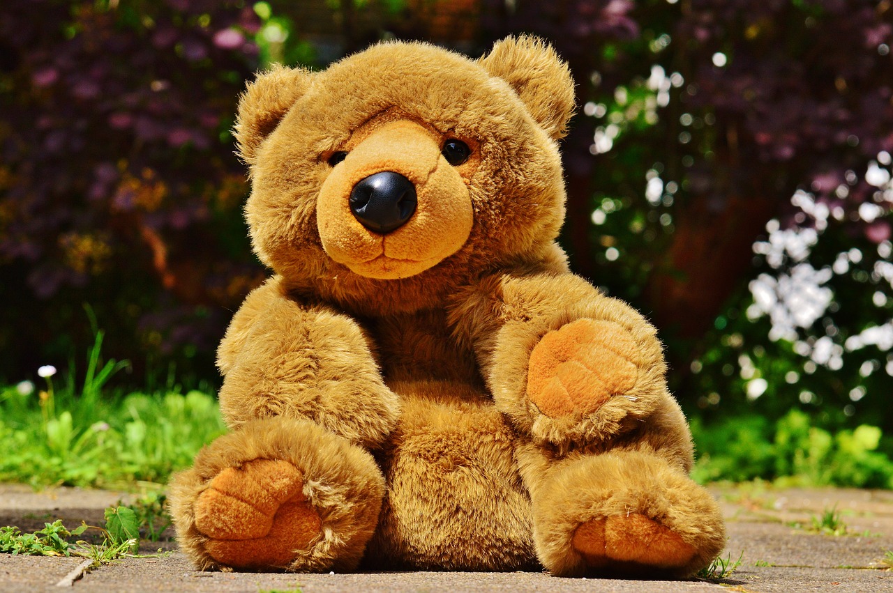 teddy plush toys free photo