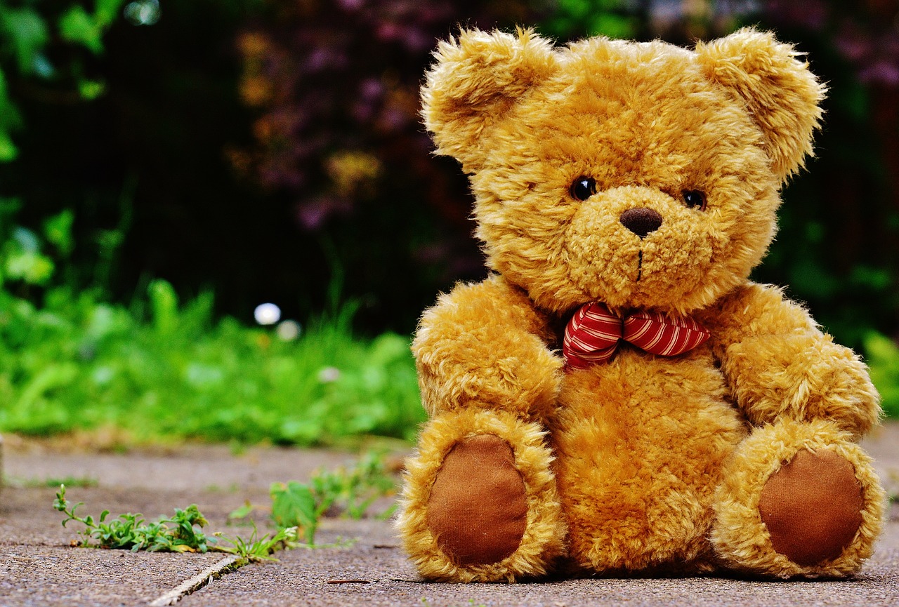 teddy plush cute free photo