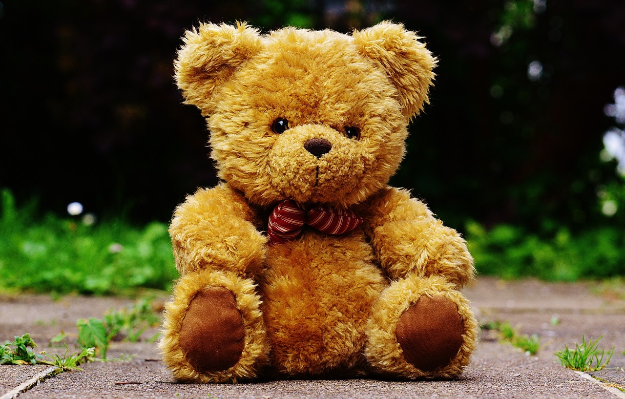 teddy plush cute free photo