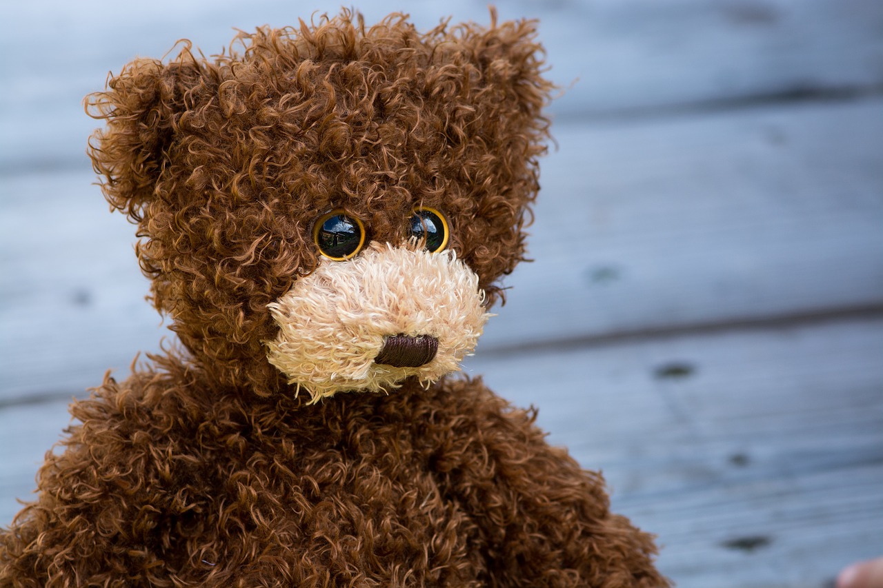 teddy teddy bear brown free photo