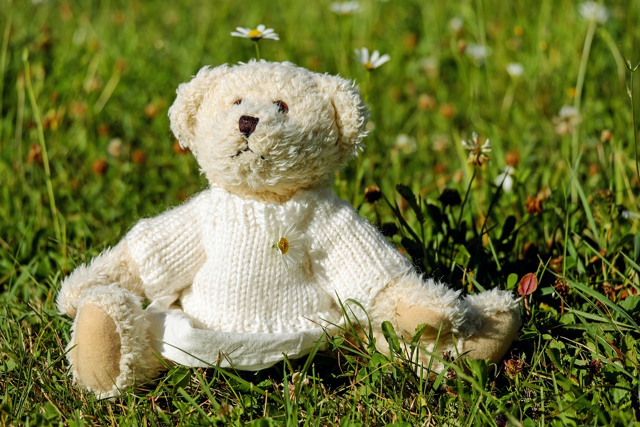 teddy plush bears free photo