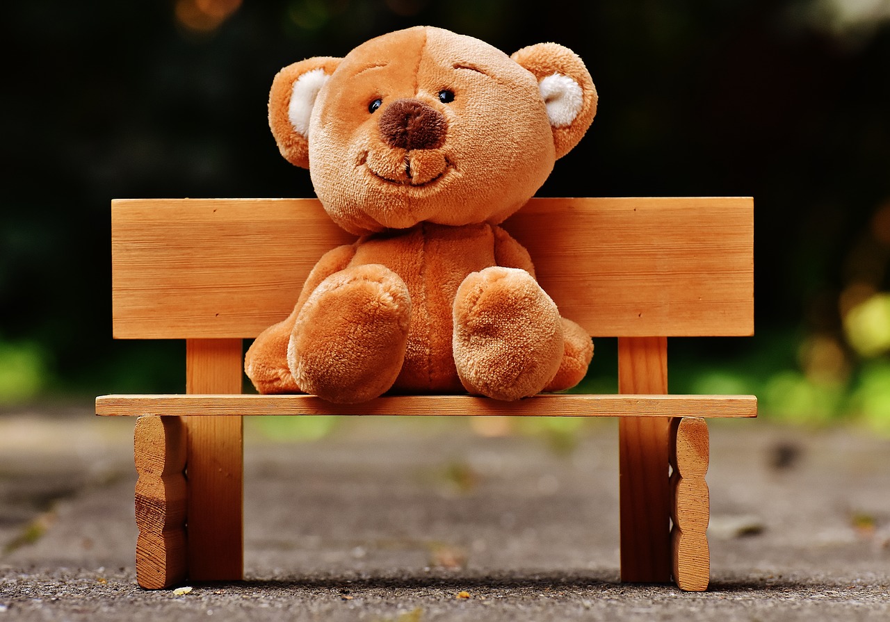 teddy bank sit free photo