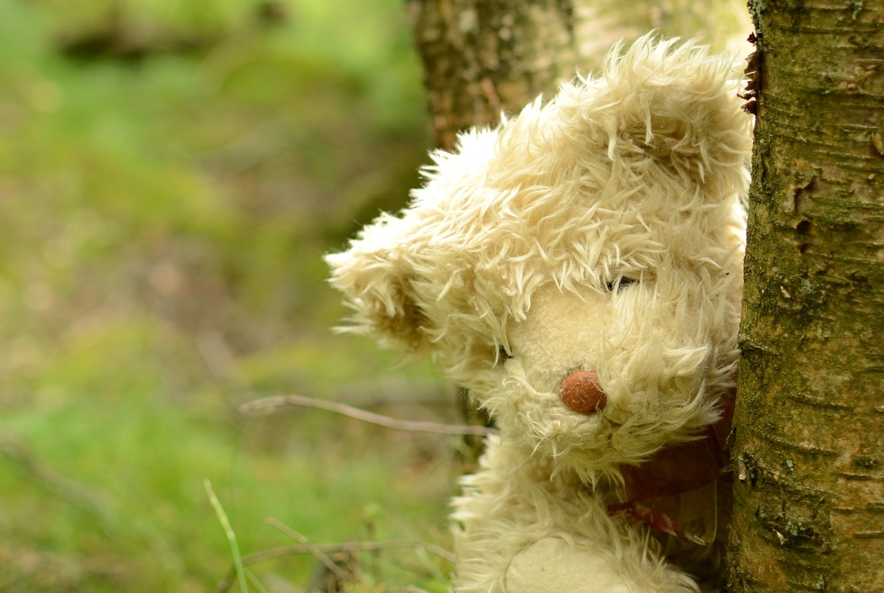 teddy bear teddy bear free photo