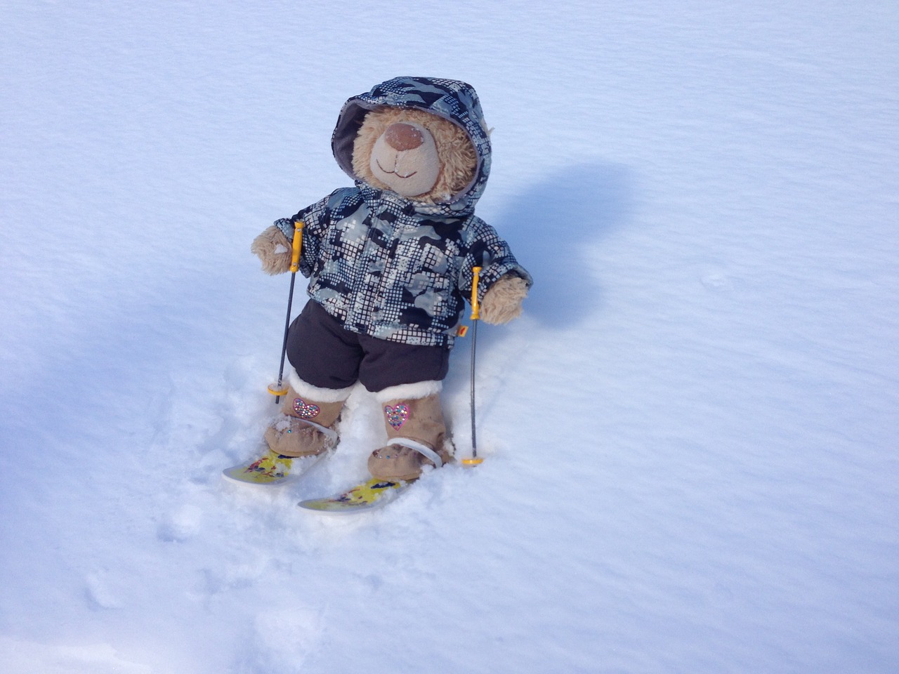 teddy ski snow free photo