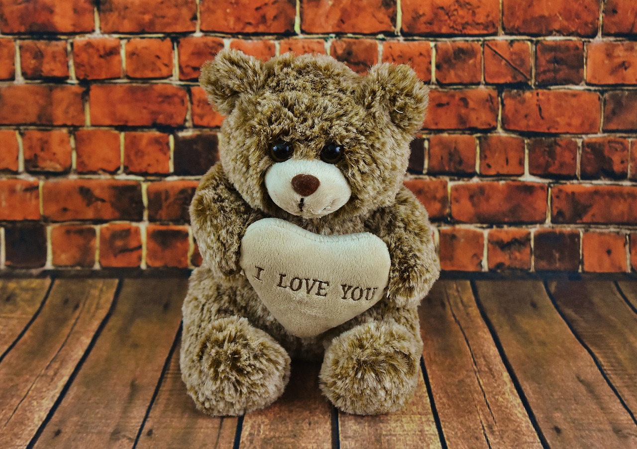 teddy valentine's day love free photo