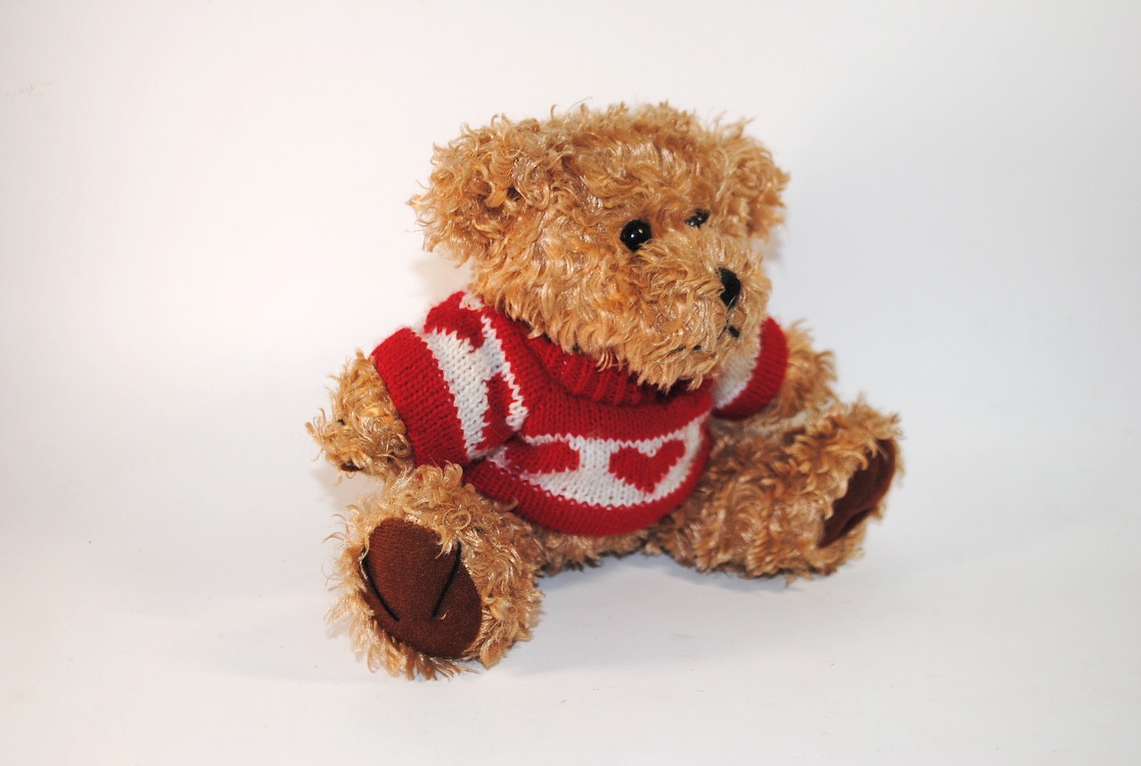 teddy gift bear free photo