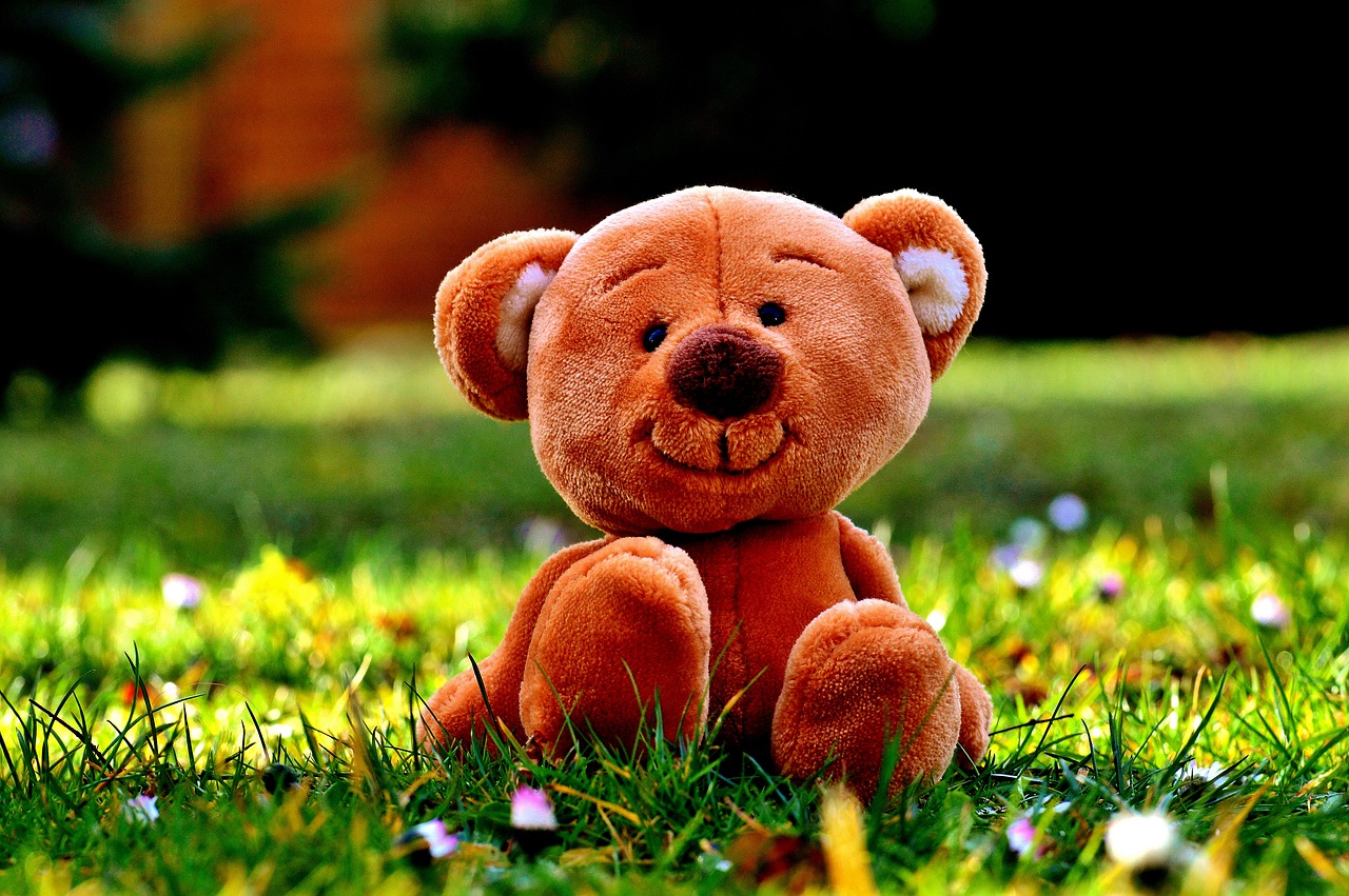 teddy meadow cute free photo