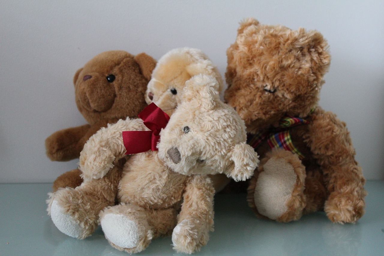 teddy bear soft toy free photo