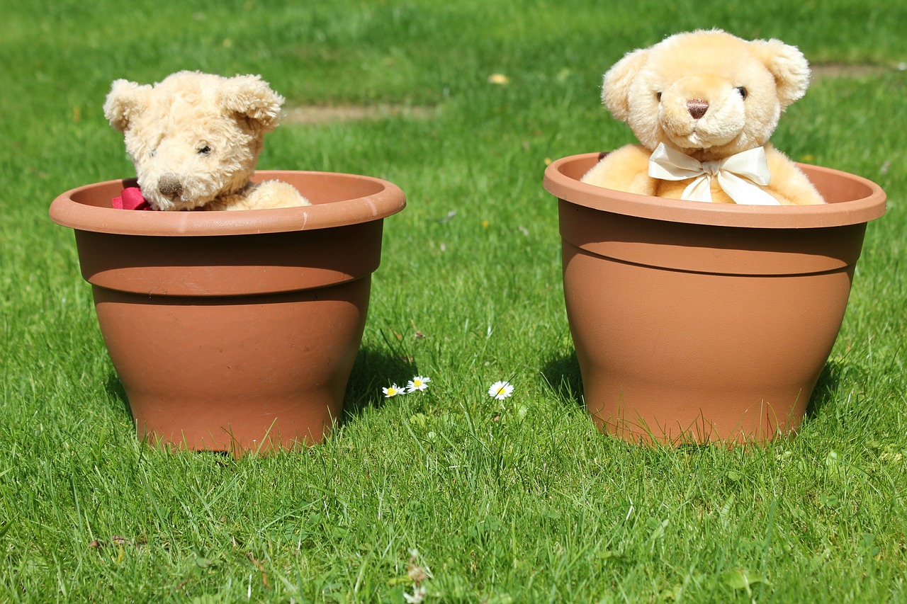 teddy bear flowerpot free photo