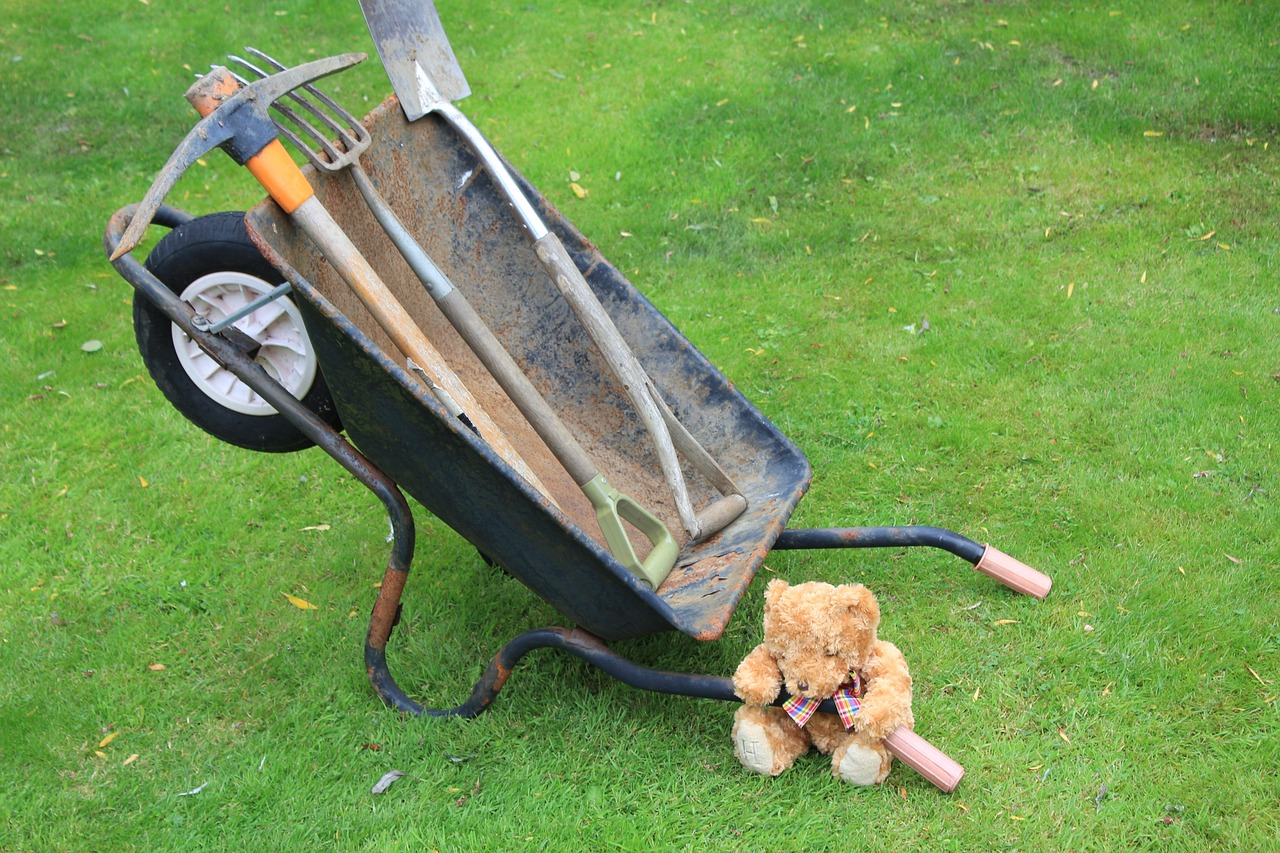 teddy bear wheelbarrow free photo