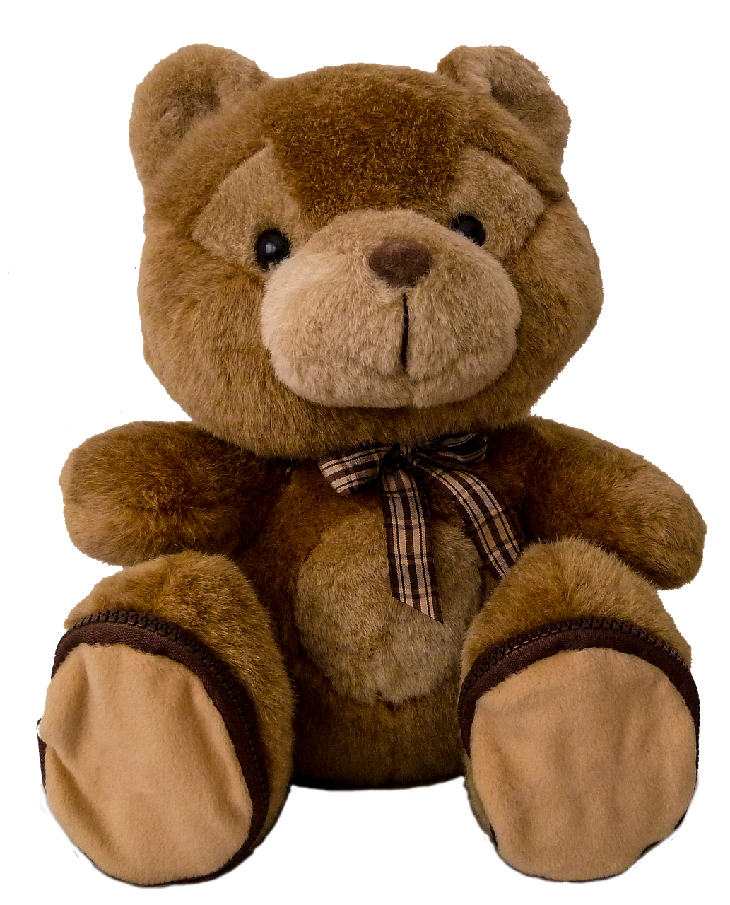 teddy teddy bear soft toy free photo