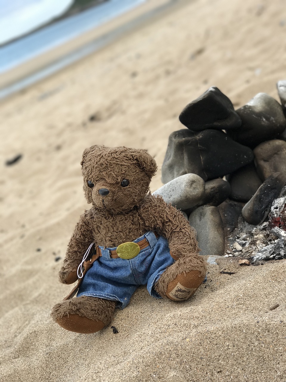 teddy bear beach free photo