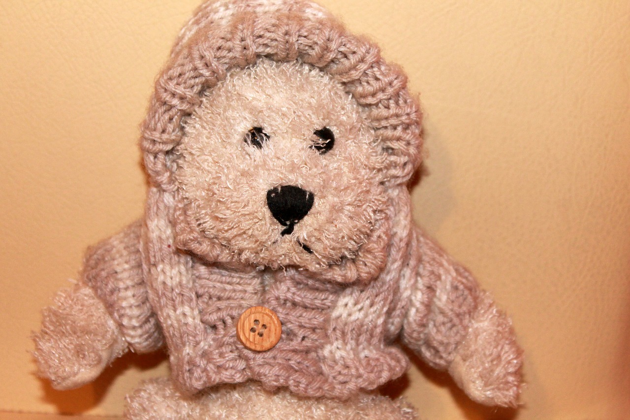teddy teddy bear plush toys free photo