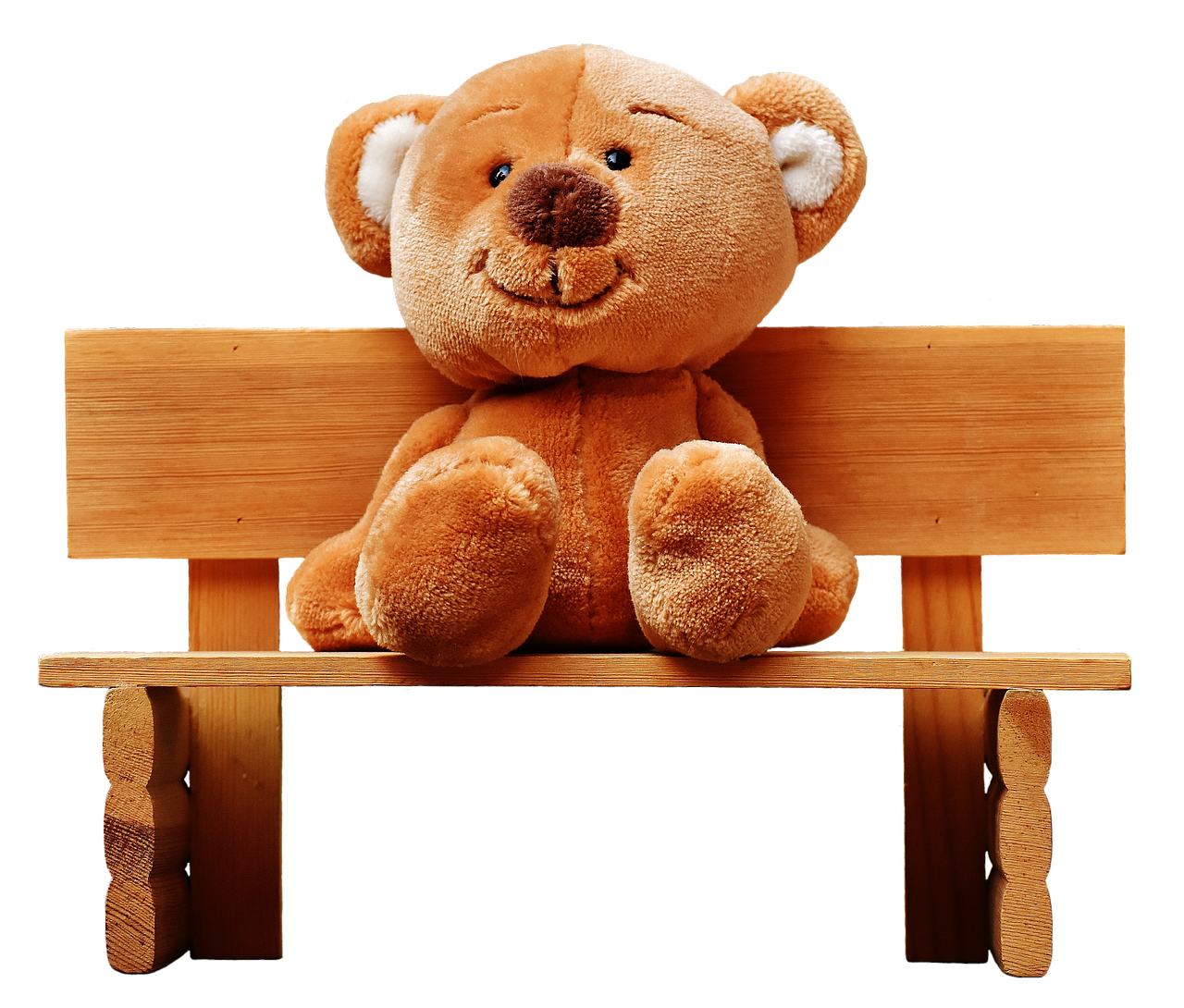 teddy bank sit free photo