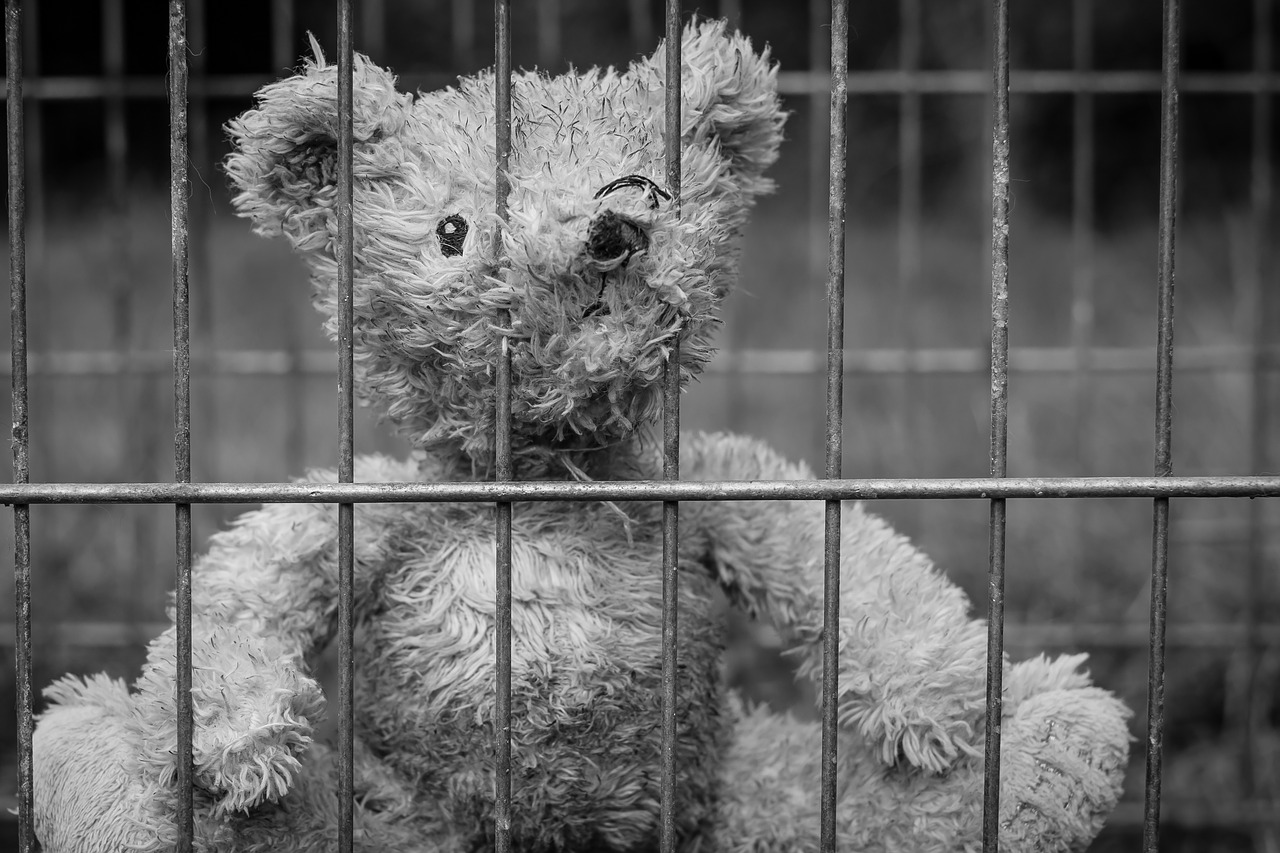 teddy bear lost free photo