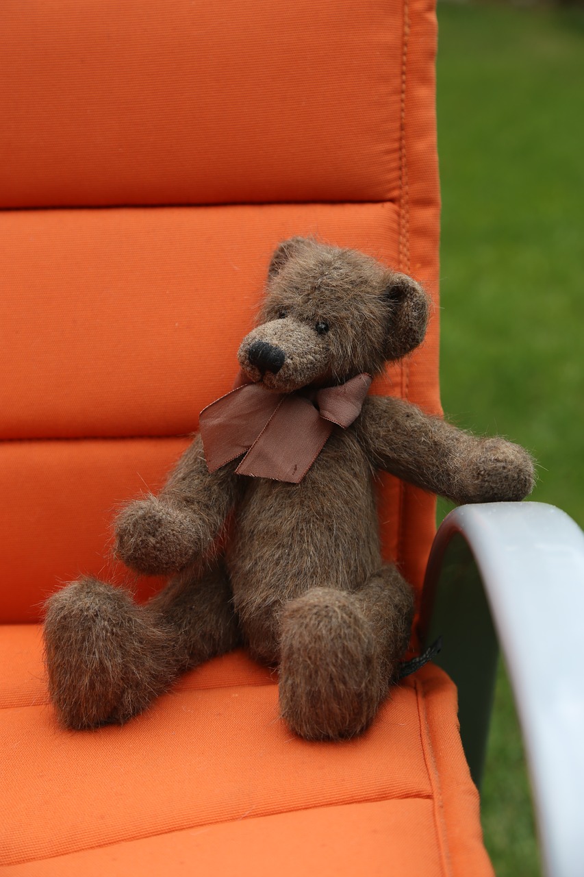 teddy plush bears free photo