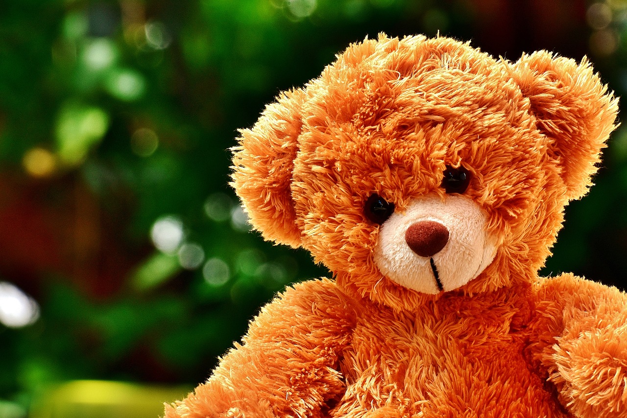 teddy soft toy cute free photo