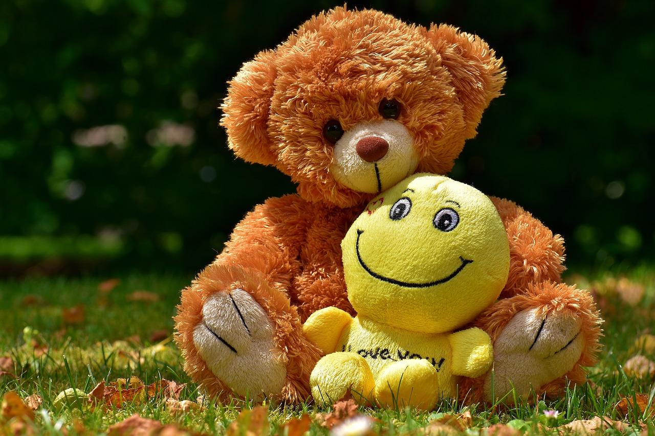 teddy soft toy stuffed animal free photo