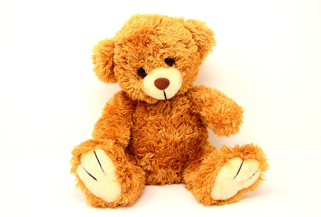 teddy soft toy bears free photo